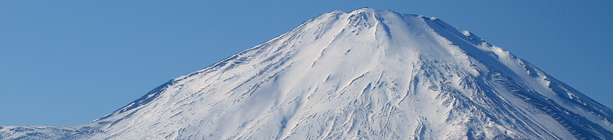ペントルーフイメージ